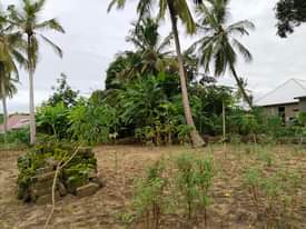 A picture of KIWANJA KIKUBWA KARIBU NA BARABARA
