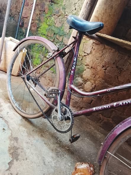 A picture of Bicycle