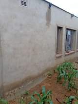 stands