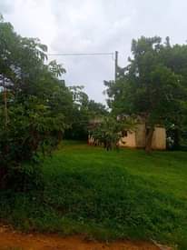 A picture of Gobero brand new estate 50x100ft 8m