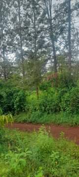 Mwangi W.