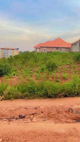 houses entebbe