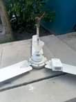 A picture of NAUZ FENI USED NA PASI PHILIPS OG 0789 47 72