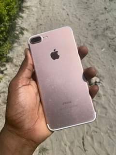 A picture of 7plus
