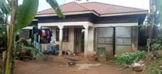A picture of HOUSE FOR SALE IN KASANGATI AT 30M UGX AS LISTED