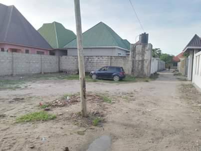 A picture of Kiwanja kikali mnoooo kinauzwa mbagala chamazi.