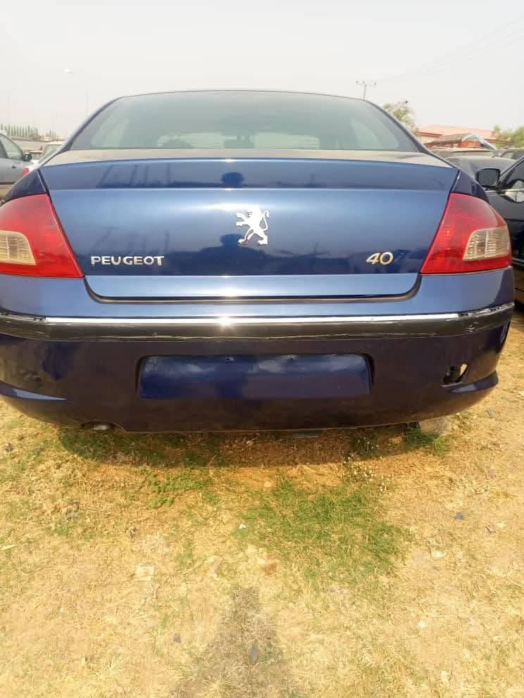 A picture of Peugeot 407