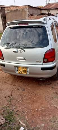 A picture of Kikumi 3 5