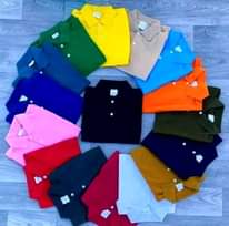 A picture of T shirt plain