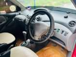 A picture of Vitz