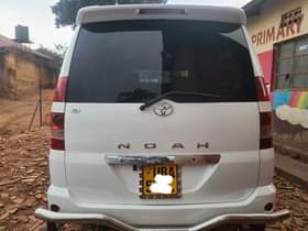 A picture of Noah 16m 0777850595 0751539549 Perfect ride