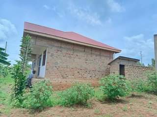 A picture of Good deal Rental units for sale located at mukono kayunga