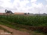 A picture of 25 Decimals 100 100 in Entebbe City at 85m with