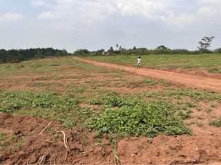 A picture of Cheapest plots with titles in kakiri Town 0704759507