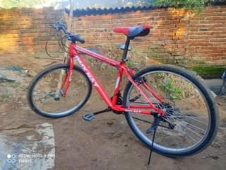 bicycle