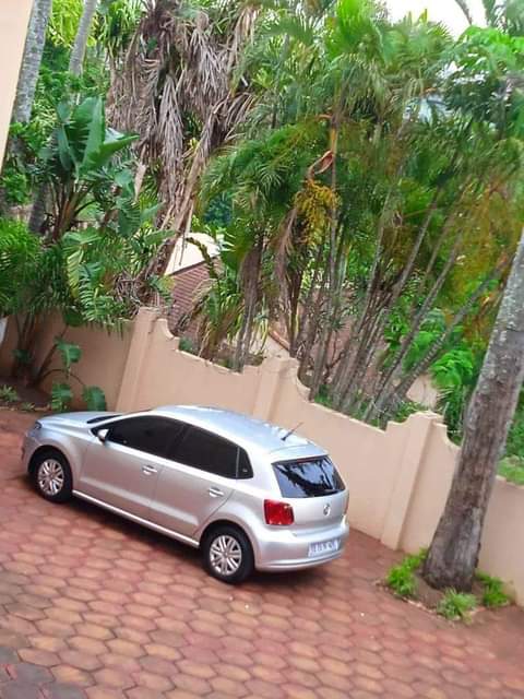 Kzn C.