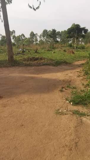 A picture of Plot