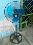 A picture of FENI USED 0786494436