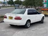 A picture of COROLLA 111