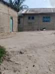 A picture of Kiwanja banda