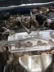 A picture of Honda Adidas