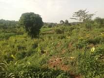 A picture of Plot size 100by85ft fram land on sale 4m located at