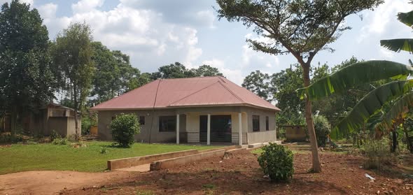 A picture of PLOT FOR SALE MUKONO Nakifuma Mayangayanga Nabibugga 50x100ft Banana plantation