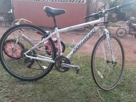 A picture of Spot bike