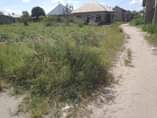 A picture of KINAUZWA MILIONI 4 500 000