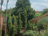 A picture of Property Icon Uganda