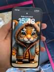 A picture of IPHONE 12 PRO MAX