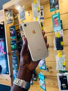 A picture of iPhone 7Plain