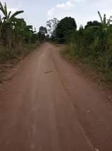 A picture of 3 fertile acres for sale with electricity and water all