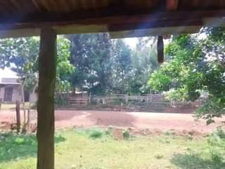 A picture of Iam selling this plots ready for residential and settlement electricity