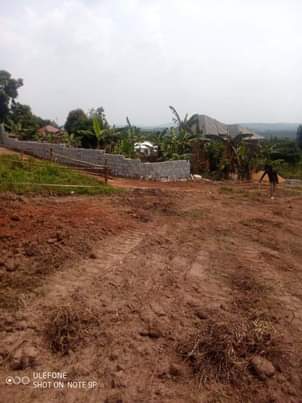 A picture of Hot cake plot in bujuuko mityana road plot size 30