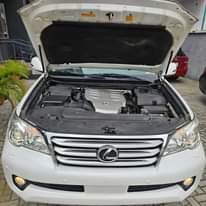 A picture of 2010 LEXUS GX460