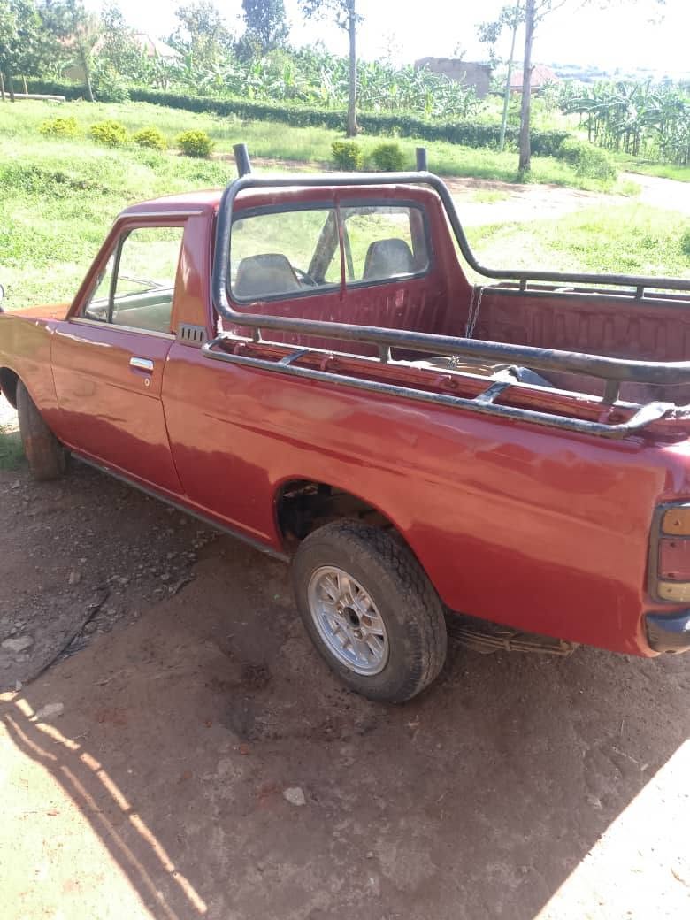 A picture of Nissan datsun 1200