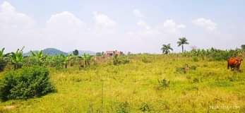 houses hoima