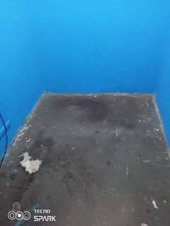 house rent
