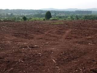 A picture of NEW SITE OPEN AT GIVE AWAY PRICE 6.5m WITH TITLE