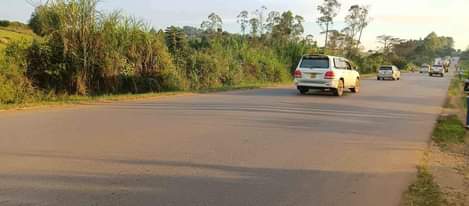 A picture of 15 ACRES AT MATUGGA TOUCHING GULU HIGHWAY. 350M EACH. PML