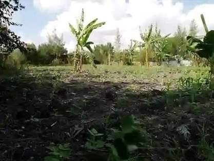 agricultural