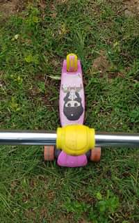 A picture of Scooter