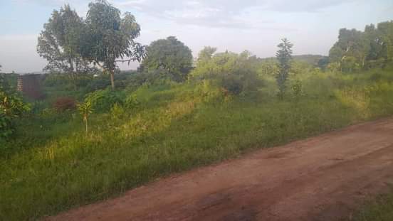 A picture of Plot for sell size 40 205ft at 20m only wakiso