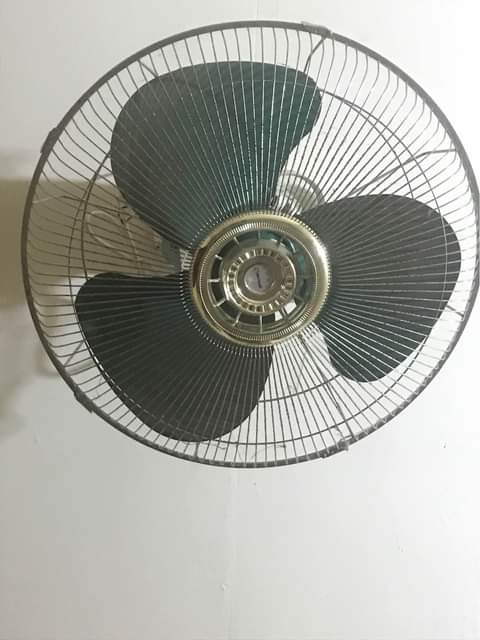 A picture of Feni ya hyu