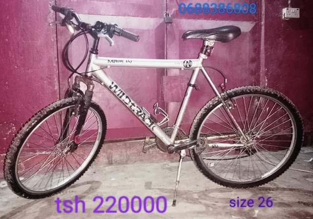 bicycle