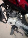 A picture of BOXER CC150 LA KALI 0659 666608