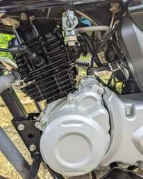 A picture of BOXER HD CC125 TSH 850 000 Nipigie 0753224406
