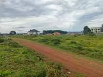 Mulangira J.