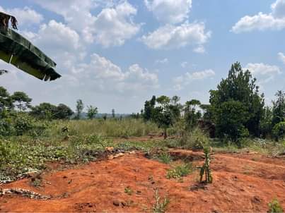 A picture of plot of 50ft by 50ft in mukono kibiribiri at 4m